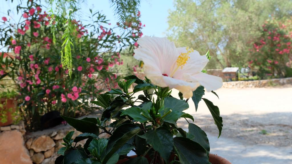 شقة بورتو سيساريو  في Oasi San Pio المظهر الخارجي الصورة